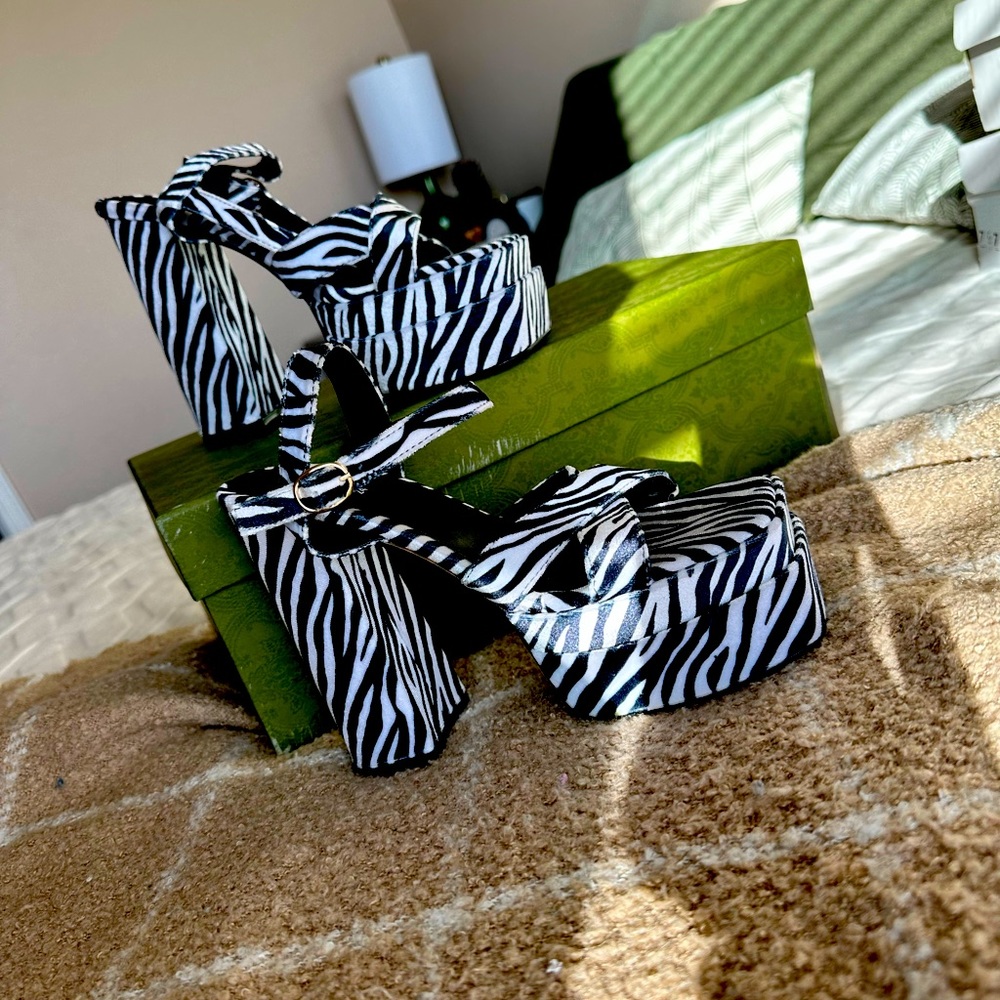 Zebra🦓